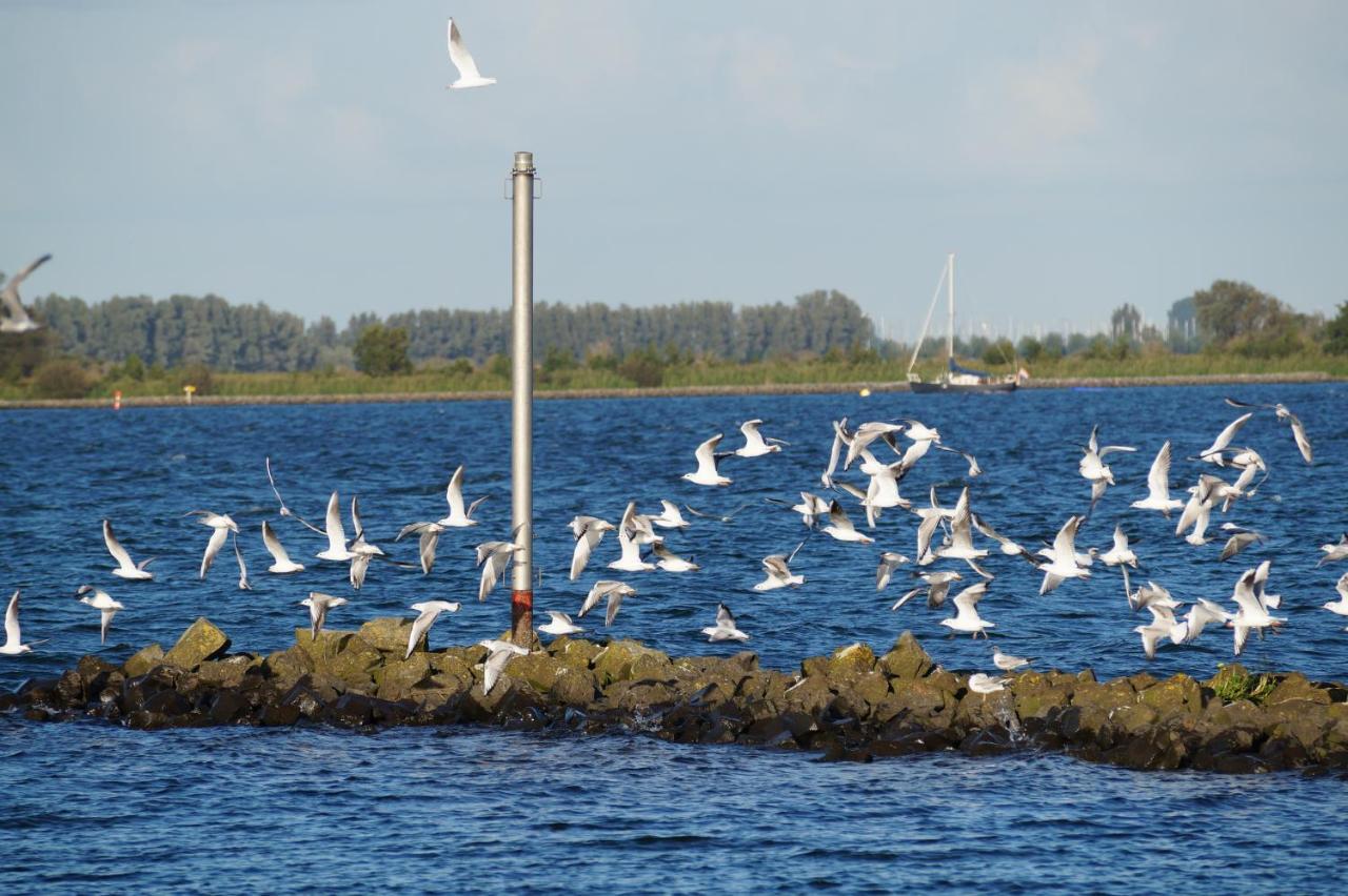 B&B Logeren Bij De Burgemeester Stad aan 't Haringvliet Exteriör bild